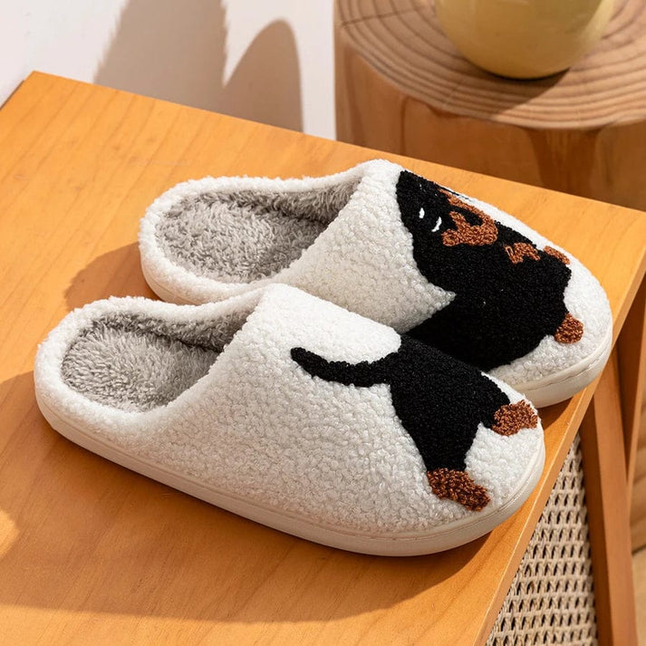 Chausson Femme intérieur motif chat - doux et confortable - Chaton
